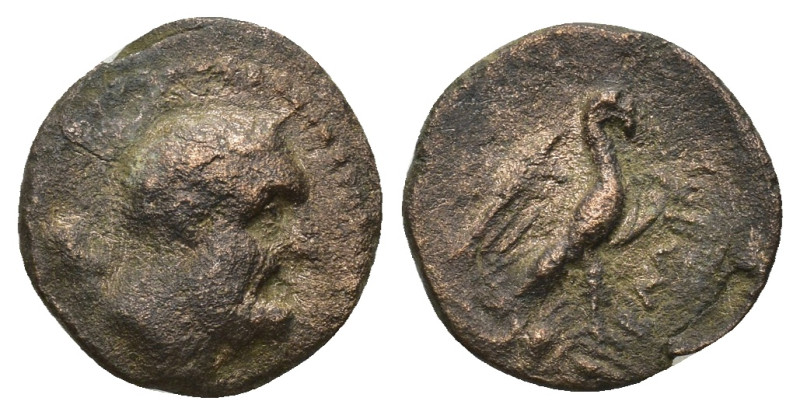 Asia Minor Uncertain Bronz Coins AE (1.52 Gr. 13mm.)
Heracles head of right.
Rev...