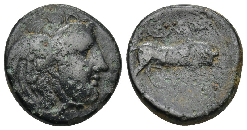 SELEUKID KINGS OF SYRIA. Seleukos I Nikator (312-281 BC). AE. Sardes.(6.45 Gr. 2...