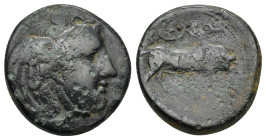 SELEUKID KINGS OF SYRIA. Seleukos I Nikator (312-281 BC). AE. Sardes.(6.45 Gr. 20mm.)
Winged head of Medusa right. 
Rev: BAΣIΛEΩΣ / ΣΕΛΕΥΚOY. Bull but...