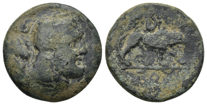 KINGS OF GALATIA. Amyntas. 39-25 B.C. AE. (10 Gr. 23mm.)
 Bearded head of Herakl...