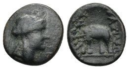 Seleukid Kingdom. Antiochos III. 223-187 B.C. AE (2.3 Gr. 14mm.) Antioch 
Laureate head of Apollo right 
Rev. Legend, if any, illegible; elephant walk...