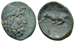 Pisidia. Termessos circa 100 BC. Bronze AE (3 Gr. 19mm). 
Laureate head of Zeus right 
Rev. Forepart of horse left.