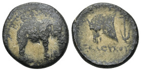SELEUKID EMPIRE. Seleukos I Nikator. Second satrapy and kingship, 312-281 BC. AE (7.55 Gr. 20mm). Apamea on the Orontes mint. 
Elephant walking right ...