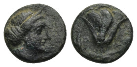 Islands off Caria, Rhodos. 350-300 B.C. AE (1.24 Gr. 10mm.). 
Nymph Rhodos, diademed head right, hair rolled 
Rev. Rose with bud on right
