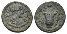 Uncertain Bronze Coins AE (2.26 Gr. 14mm.)
Head of bust right.
Vase containing poppies and grain ears.