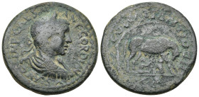 PISIDIA, Antioch, Gordian III, (A.D. 238-244), AE, (26.1 Gr. 43mm)
Gordian III laureate head to right, around 
Rev. wolf to right, head reverted, suck...