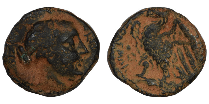 PTOLEMAIC KINGS of EGYPT. Berenike II, circa 244/3-221 BC. Ae (bronze, 3.35 g, 1...