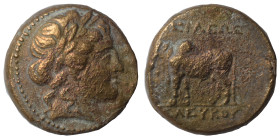 SELEUKID KINGS of SYRIA. Seleukos II Kallinikos, 246-226 BC. Ae (bronze, 4.16 g, 16 mm). Uncertain mint, associated with Antioch. Laureate head of Apo...