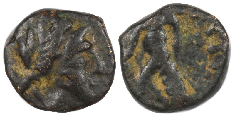 SELEUKID KINGS of SYRIA. Antiochos III the Great, 222-187 BC. Ae (bronze, 2.31 g...