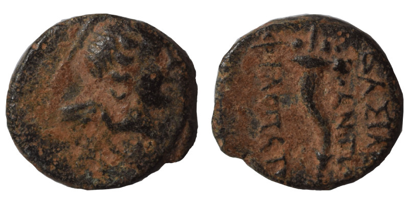 SELEUKID KINGS of SYRIA. Antiochos IX Eusebes Philopator, 114-95 BC. Ae (bronze,...