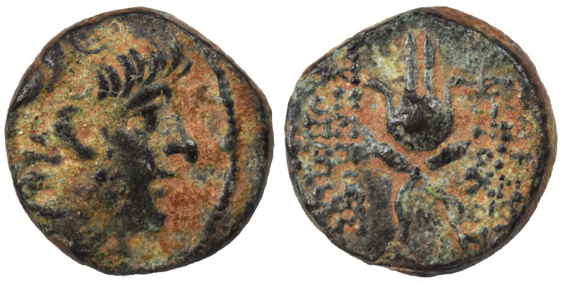 SELEUKID KINGS of SYRIA. Antiochos X Eusebes Philopator, circa 94-88 BC. Ae (bro...