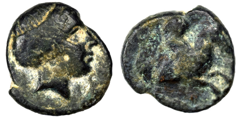 Greek. Ae (bronze, 0.82 g, 10 mm). Female head right. Rev. Pegasus right. Fine.
