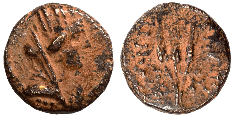 SYRIA, Seleucis and Pieria. Antioch. Time of Augustus, 27 BC-AD 14. Ae (bronze, ...