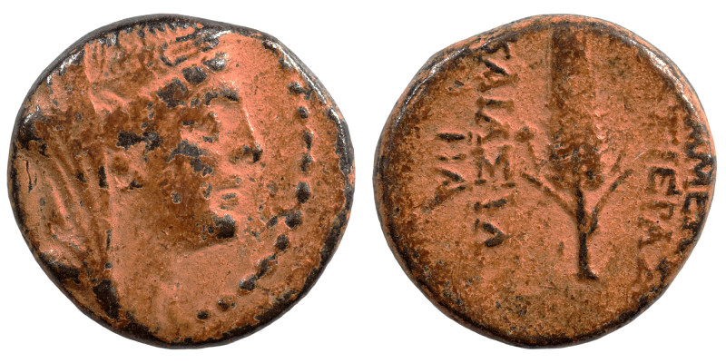 SYRIA, Seleucis and Pieria. Apameia. 1st century BC. Ae (bronze, 3.85 g, 16 mm)....