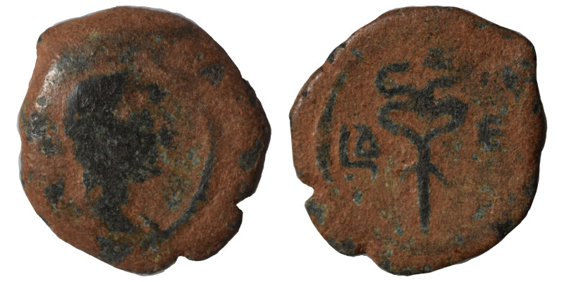 EGYPT. Alexandria. Hadrian, 117-138. Ae (bronze, 1.54 g, 14 mm). Laureate bust r...