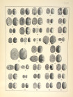 Scarce Cairo Catalogue of Scarabs, Seals, &c.