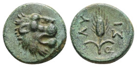 Thrace, Lysimacheia, 3.51 g 16.67 mm. Circa 225-199/8 BC. 
Obv:Lion head to right 
Rev: Barley ear; ΛΥ-ΣΙ around, ΘΕ in lower right field. 
Ref: SNG C...