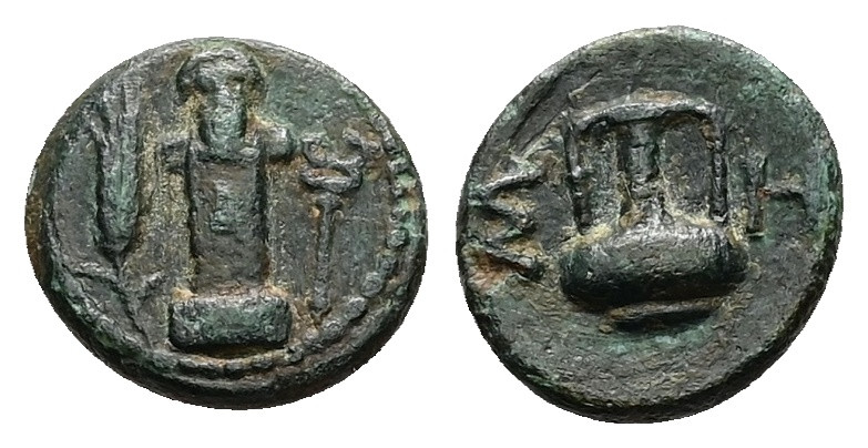 Thrace, Sestos. AE, 1.13 g 11.22 mm. Circa 300 BC.
Obv: Facing herm between grai...