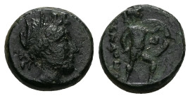 Lokris, Opuntia. Ae, 4.23 g 14.88 mm. 4th century BC. 
Obv: Head of Persephone or Demeter right.
Rev.: ΟΠΟΥΝΤΙ[ΩΝ]; Ajax advancing right, wearing cres...