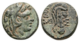 Pontos, Amisos. Mithradates VI. Ae, 2.96 g 14.89 mm. Circa 95-90 or 80-70 BC. 
Obv: Head of Herakles right, wearing lion skin.
Rev.: [Α]ΜΙΣ[ΟΥ]; Lion ...