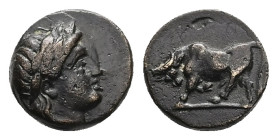 Mysia, Gambrion. Ae, 1.10 g 10.10 mm. 4th century BC. 
Obv: Laureate head of Apollo to right.
Rev: Bull butting left.
Ref: SNG Copenhagen 156.
Fine/VF