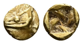 Mysia, Kyzikos. EL 1/48 Stater, 0.31 g 5.60 mm. Circa 600-550 BC.
Obv: Head of tunny left.
Rev: Incuse square.
Ref: Nomisma VII 3; Hurter & Liewald II...