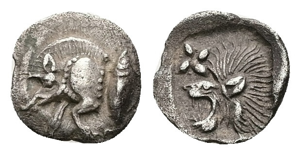 Mysia, Kyzikos. AR Hemiobol, 0.39 g 9.44 mm. Circa 450-400 BC.
Obv: Forepart of ...
