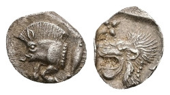 Mysia, Kyzikos. AR Hemiobol, 0.39 g 10.43 mm. Circa 450-400 BC.
Obv: Forepart of boar left; to right, tunny upward.
Rev: Head of roaring lion left; st...
