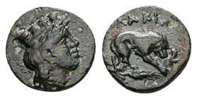 Mysia, Plakia. Ae, 1.19 g 11.38 mm. 4th century BC.
Obv: Turreted head of Kybele right.
Rev: ΠΛΑΚΙΑ. Lion, devouring prey, standing right on grain ear...