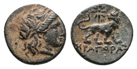 Ionia, Miletos, Ae, 1.24 g 11.89 mm. Circa 313/2-290 BC. Eragoras magistrate.
Obv: Laureate head of Apollo right.
Rev: HPAΓOPAΣ, Lion standing right, ...