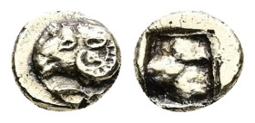 Ionia, Phokaia, EL Fourrèe 1/24 Stater, 0.50 g 7.28 mm. Circa 560-545 BC. 
Obv: Head of ram to left; below, small seal to left 
Rev: Incuse square pun...