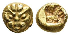 Ionia, Samos. EL Hekte, 2.76 g 10.38 mm. Circa 600-570 BC. 
Obv: Head of lioness or panther facing. 
Rev: Incuse square with irregular markings. 
Ref:...