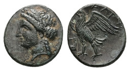 Caria, Halikarnassos. Ae, 1.41 g 12.70 mm. 3rd century BC. Obv: Head of Apollo left.
Rev.: ΑΛΙ; Eagle standing to left, wings open; to left, kithara.
...