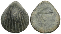 PB Late Hellenistic or Roman imperial weight.
Shell in form, bottom is flat.
Cf. CPAI Turkey 1, 36–37; Robinson 1941, nos. 2462–2463.
Weight: 60.49...