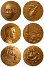 Monnaie de Paris, Nobel Prize Winners, Bronze Medals (3).