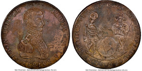 Republic bronze "Proclamation - Gratitude of Chuquisaca" Medal 1825 AU Details (Environmental Damage) NGC, Fonrobert-9740. Oddly enough, this large Pr...