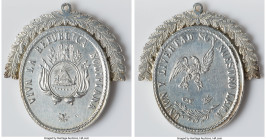 Republic silver "Long Live the Republic" Medal ND AU (cleaned), Fonrobert-Unl (same reverse as Fonr-9434). 44mm. 30.97gm. PCGS declined to certify thi...
