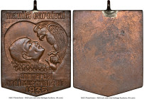 "Manila Carnival" bronze Medal 1935-Dated MS63 Brown NGC, Honeycutt-252 var. 30 x 37mm. HID09801242017 © 2023 Heritage Auctions | All Rights Reserved