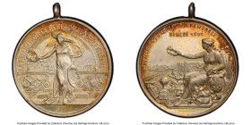 Confederation silver Specimen "Geneva National Expo" Medal 1896 SP64 PCGS, Double-thick holder. HID09801242017 © 2023 Heritage Auctions | All Rights R...