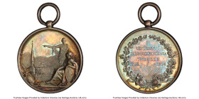 Confederation silver Specimen "Ticino Independence 100th Anniversary" Medal 1898 SP65 PCGS, "Centenario / Dell' Indipendenza / Ticinese" by Johnson Mi...