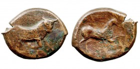 MONEDAS ANTIGUAS APULIA AE-25. Arpi. (275-250 a.C.) A/Toro embistiendo a der. R/Caballo a galope a der. 8,51 g. SNG. ANS. 645. MBC-