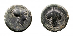 MONEDAS ANTIGUAS APULIA AE-15. Arpi. (215-212 a.C.) A/Cabeza de Atenea con casco a der. R/Racimo de uvas. 3,34 g. SNG. COP. 646. MBC-