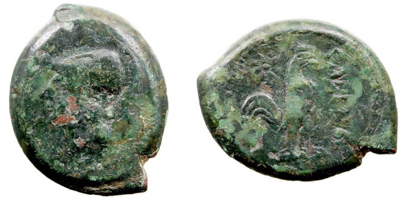 MONEDAS ANTIGUAS CAMPANIA AE-23. Cales. (265-240 a.C.) A/Cabeza de Minerva a izq...