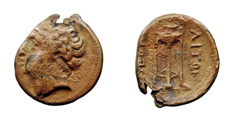 MONEDAS ANTIGUAS CAMPANIA Neapolis. AE-16. (300-275 a.C.) A/Cabeza masculina a i...