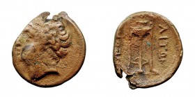 MONEDAS ANTIGUAS CAMPANIA Neapolis. AE-16. (300-275 a.C.) A/Cabeza masculina a izq. R/Trípode y ley. 2,23 g. HN. ITALIA 583. MBC-