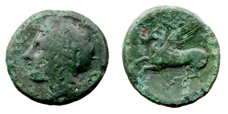 MONEDAS ANTIGUAS SICILIA AE-17. Siracusa. (274-216 a.C.) A/Cabeza laureada de Ap...