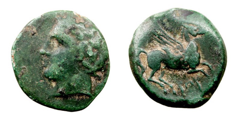 MONEDAS ANTIGUAS SICILIA AE-15. Panormus. (380-340 a.C.) A/Cabeza laureada de Ap...