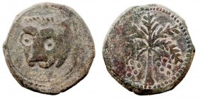 MONEDAS EXTRANJERAS ITALIA Guillermo II. Trifolaro. AE. (1166-1189) Messina. Acuñaciones Normandas. Spahr 117. BC+/MBC-