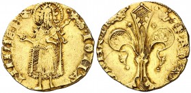 Martí I (1396-1410). València. Florí. (Cru.V.S. 505) (Cru.Comas 42) (Cru.C.G. 2297). 3,42 g. Marca: corona. Punto a la derecha del santo. No figuraba ...