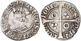 Alfons IV (1416-1458). Perpinyà. Croat. (Cru.V.S. 825.1) (Cru.C.G. 2868). 3,02 g. Ex Áureo 27/06/1990, nº 220. MBC-.